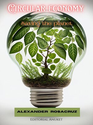 cover image of Circular Economy